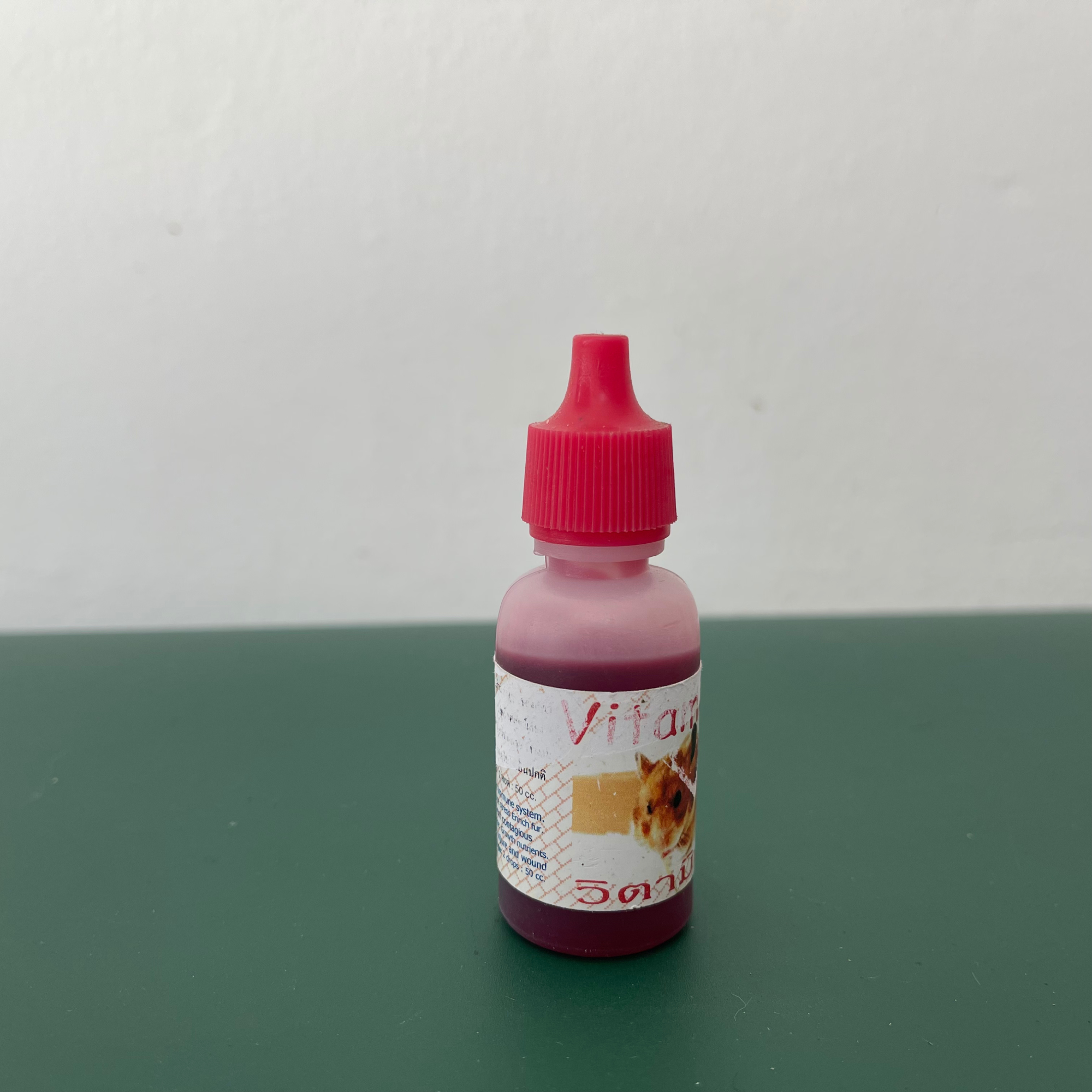 Vitamin C Cho Bọ Ú